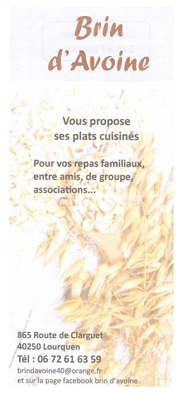 Brin d'Avoine
